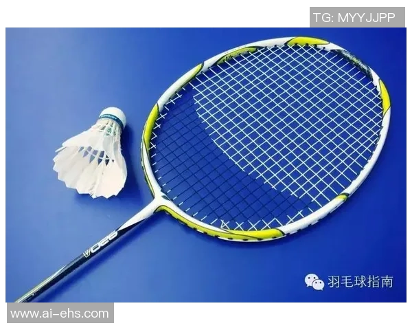 成都羽毛球队的战术解析与阵地战深度剖析